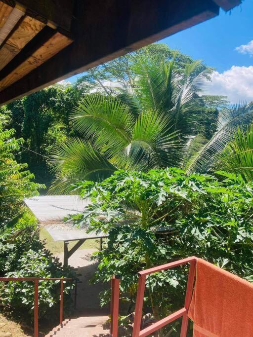 Ohana Location Ravissant Appart Spacieux Parking Gratuit A Uturoa Apartment Exterior photo
